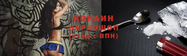 дурь Алексин
