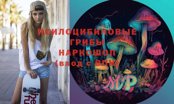 дурь Алексин
