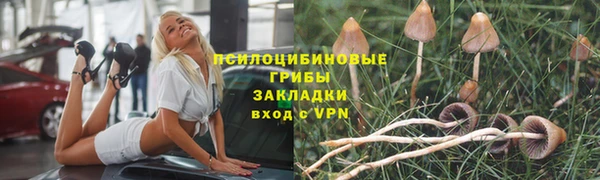 дурь Алексин