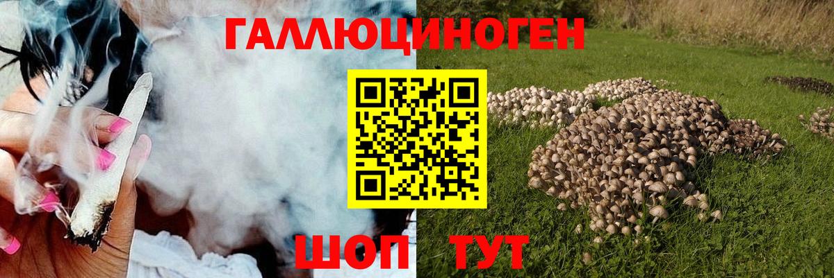 Галлюциногенные грибы GOLDEN TEACHER Котельники