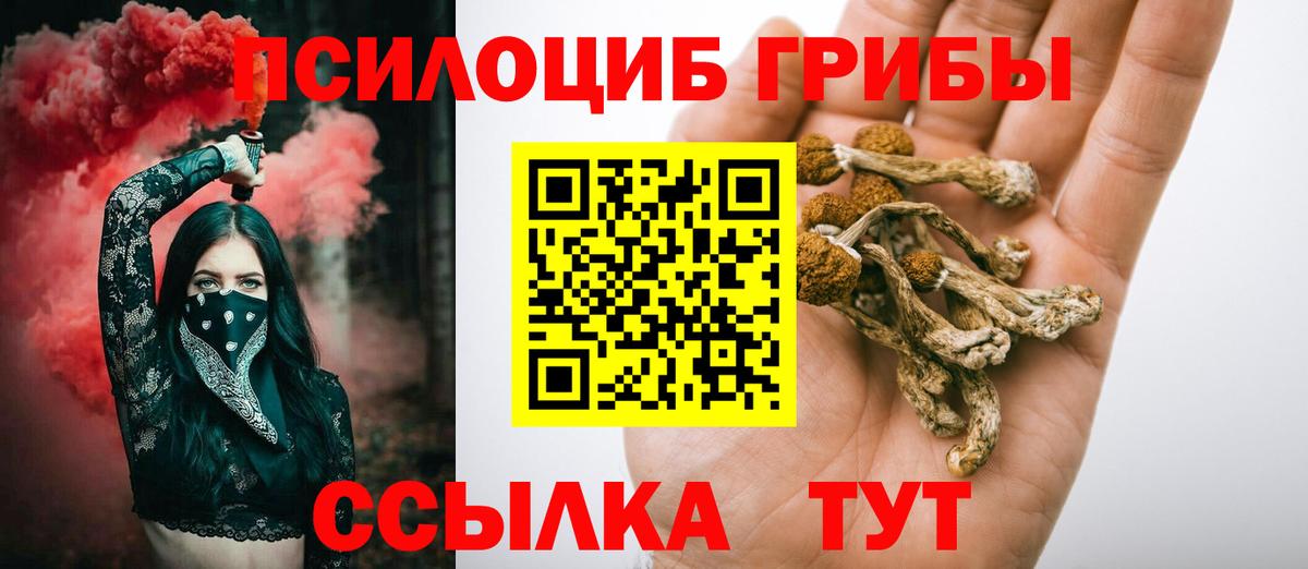 Котельники  Галлюциногенные грибы ЛСД  Вход с VPN 
